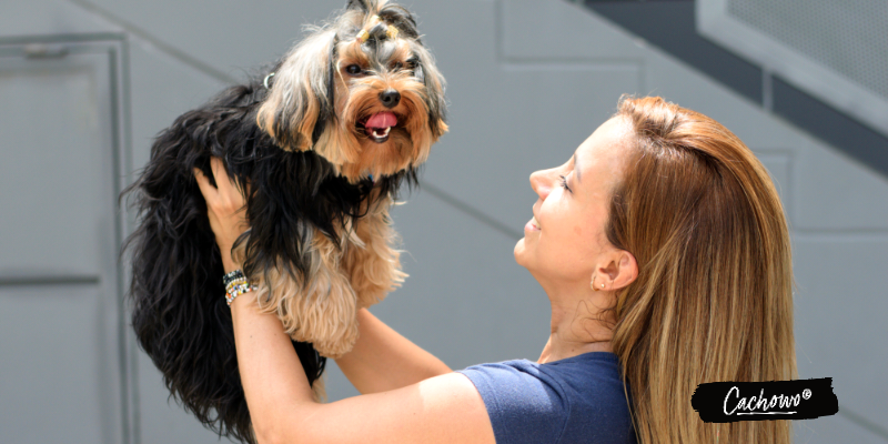 10 consejos para hacer feliz a tu mascota en casa