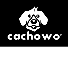Cachowo