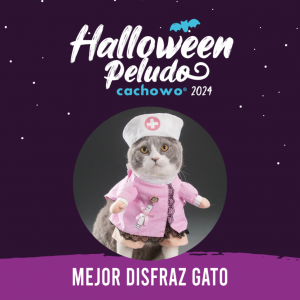 Registro concurso de Halloween_4
