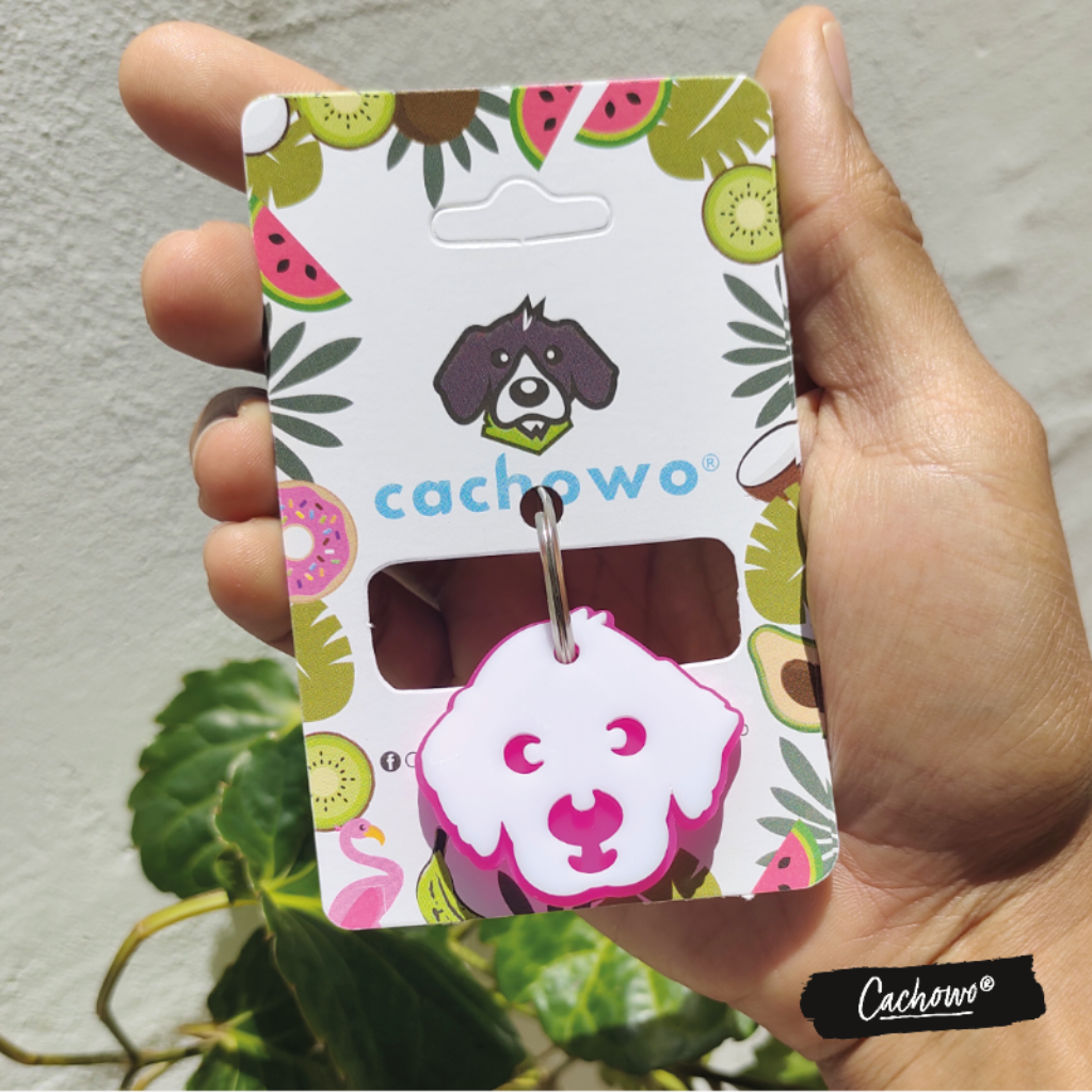 Placa de identificación diseño Golden Retriever - Cachowo