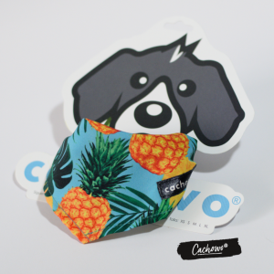 Bandana para Mascotas Piñas_1