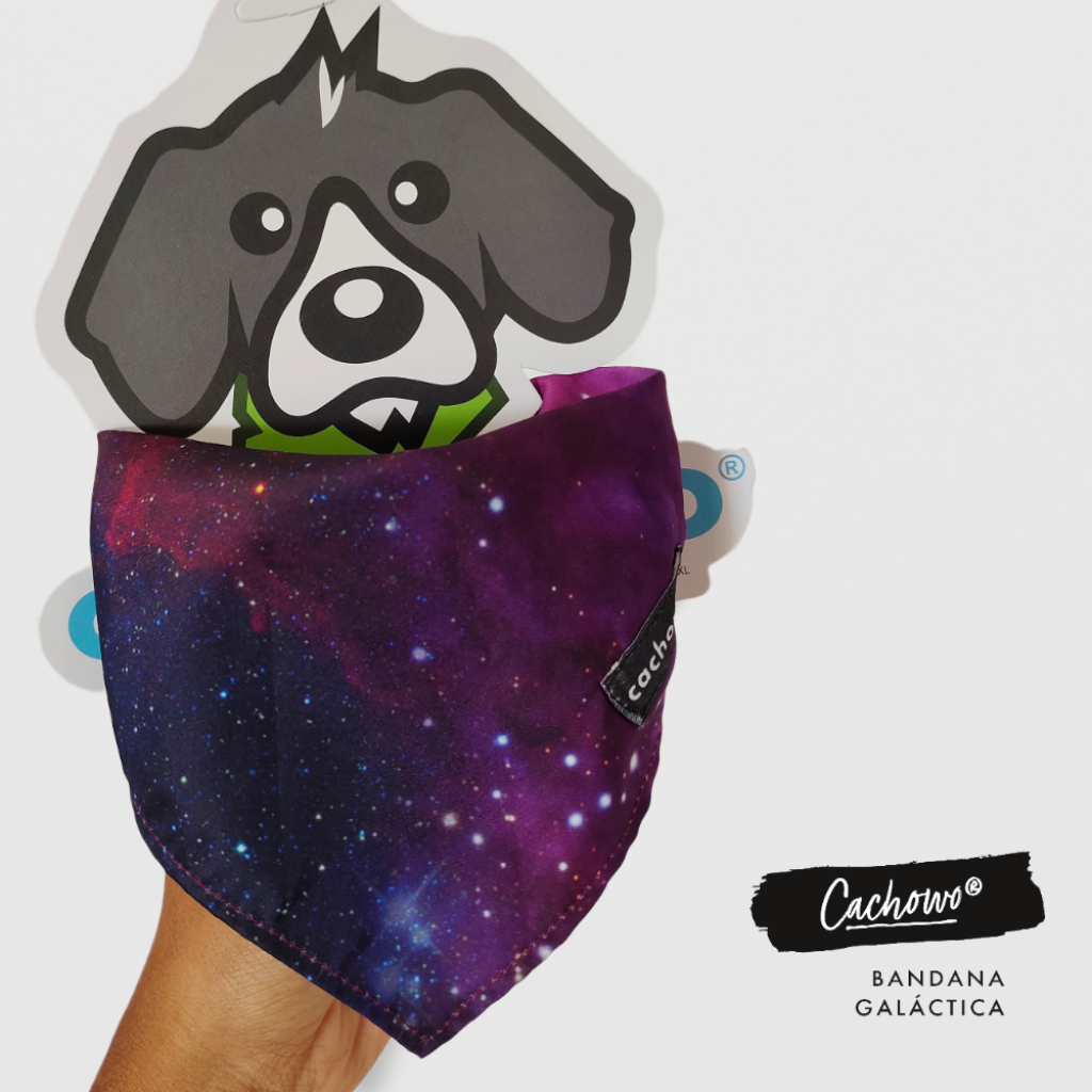 Bandana para Macotas Galáctica - Cachowo