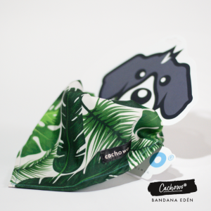 Bandana para Macotas Edén_1