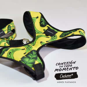Arnés con correa para perros estampado Plátanos_1