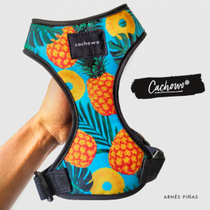 Arnés para mascotas estampado Piñas_1