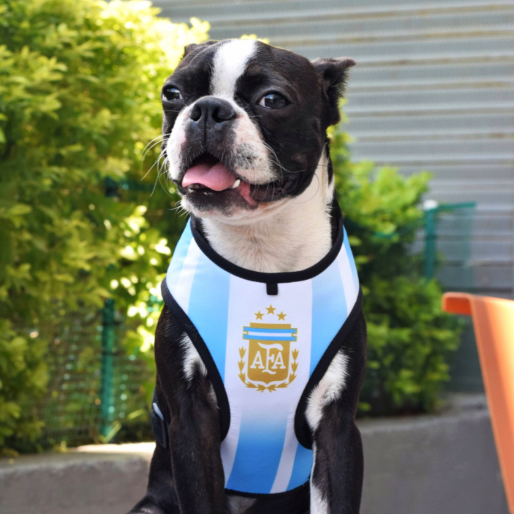 Pechera para mascotas estampado Argentina _2