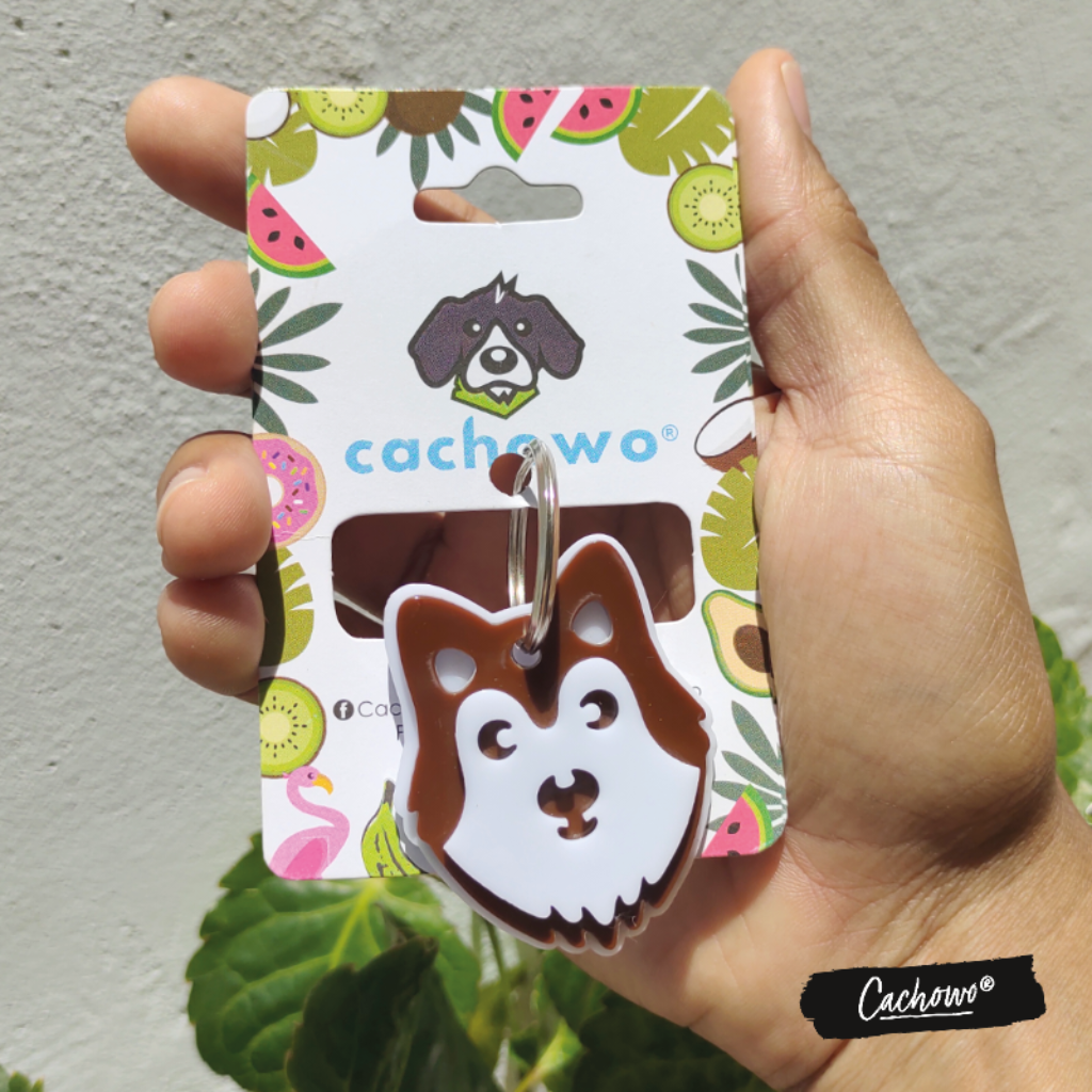 Placa de identificación diseño Husky Siberiano - Cachowo