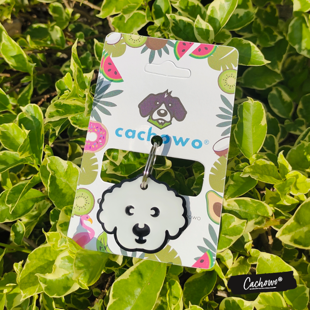 Placa de identificación para French Poodle - Cachowo