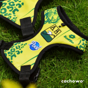 Pechera para mascotas estampado Atlético Bucaramanga _1