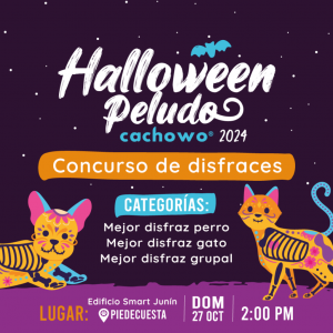 Registro concurso de Halloween_1