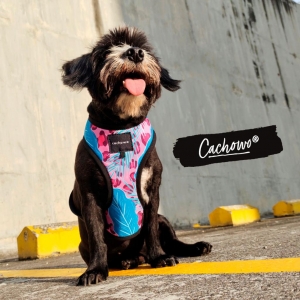 Arnés con correa para perros estampado Yaguar Fucsia_2