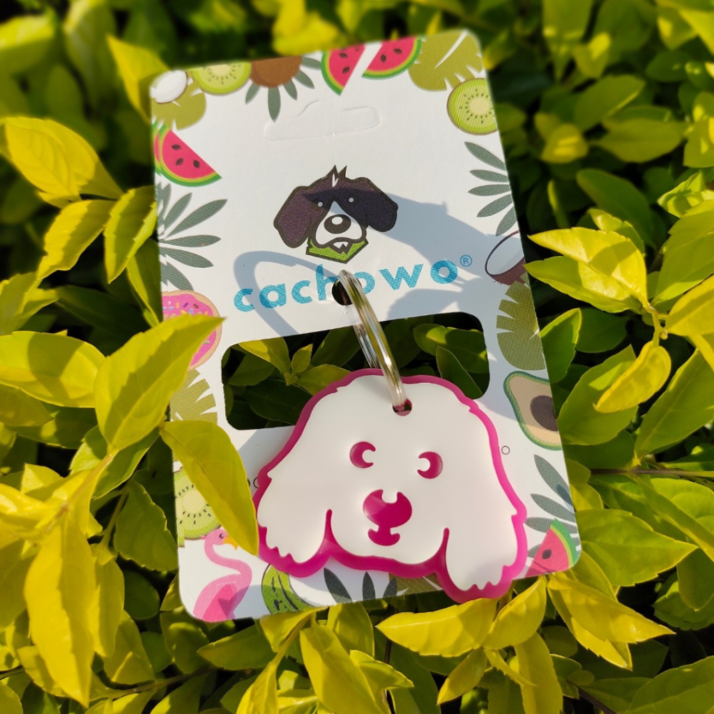 Placa de identificación diseño Cocker Spaniel - Cachowo