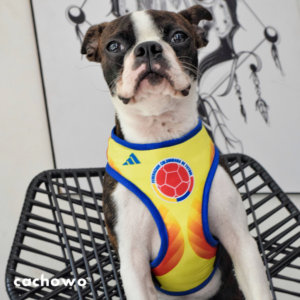 Pechera para mascotas estampado Colombia_2
