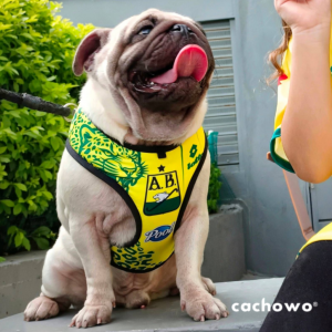 Pechera para mascotas estampado Atlético Bucaramanga _3