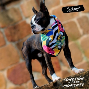 Bandana para Mascotas Selva Tropical_1