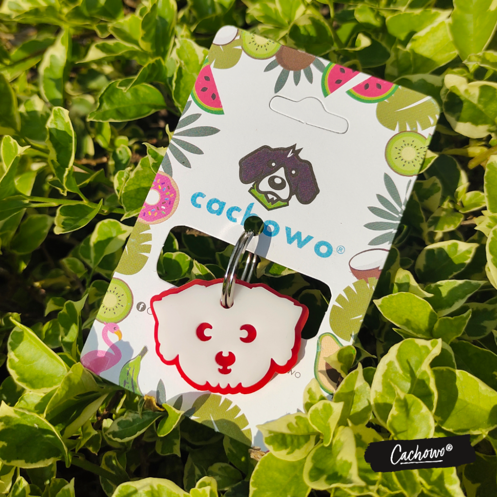 Placa Standard  - Cachowo