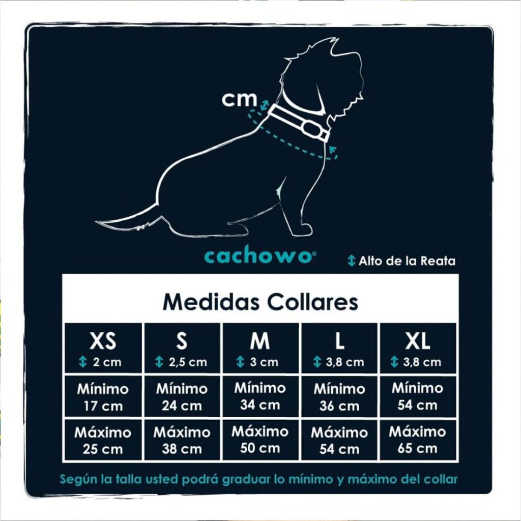 Collar para mascotas estampado Bicicletas_2
