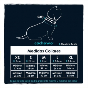 Collar para mascotas estampado Bicicletas_2