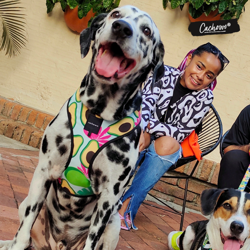 Arnés con correa para perros estampado de Aguacates _2