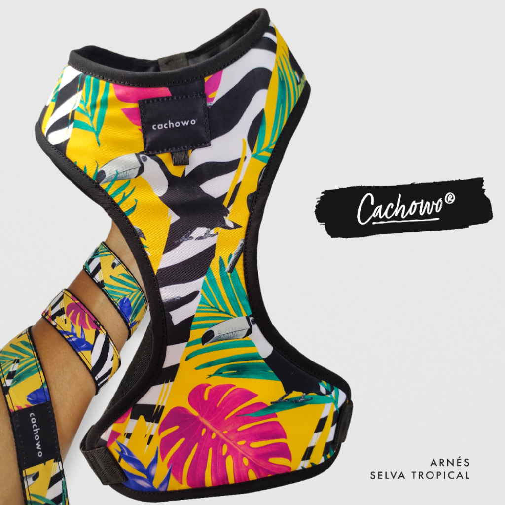 Arnés con correa para perros estampado Selva Tropical_2
