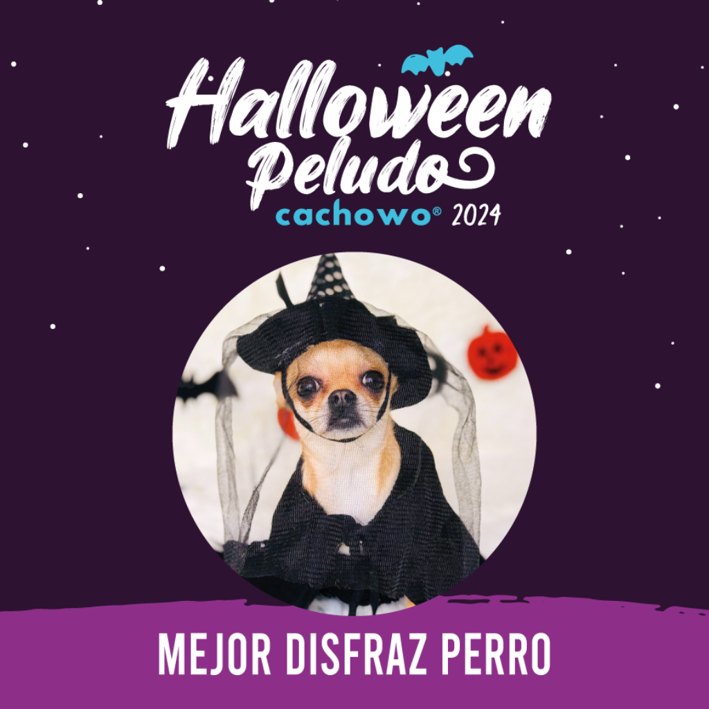 Registro concurso de Halloween_3