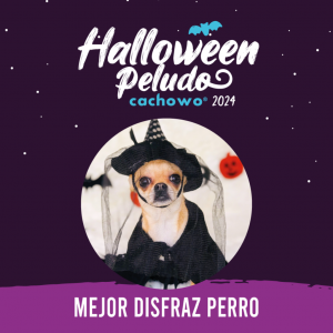 Registro concurso de Halloween_3