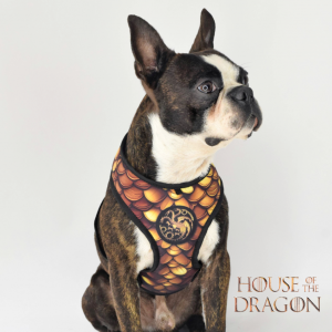 Arnés con correa para mascotas diseño HOUSE OF THE DRAGON _2